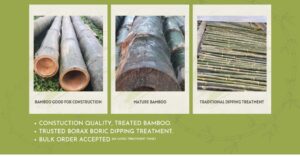 ENVIRAWNS . INFO 1 44 Bamboo India