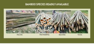 ENVIRAWNS . INFO 1 45 Bamboo India