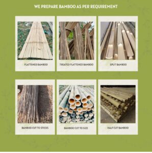 ENVIRAWNS . INFO 1 46 Bamboo India