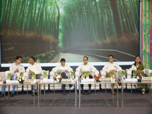 Feature PIC Bamboo India