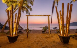 MOS62923 scaled qq4nux22qai411sytjkitxd7x4dwbvr5s60v3m3dzc Bamboo India