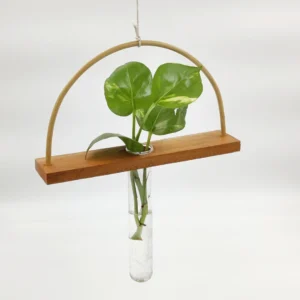 Storoot curved Bamboo and wood testube planter 01 1 Bamboo India