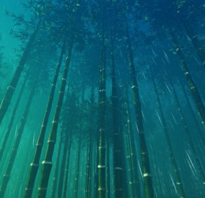 aec84e b36583f4346842c0a35afe76aeabd92bf000 Bamboo India