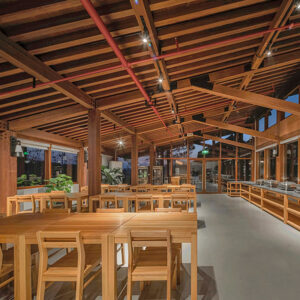 amwoodo bamboo veneers 4 Bamboo India