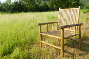 bambootales10 Bamboo India