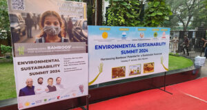 beyond terry towels 14 Bamboo India