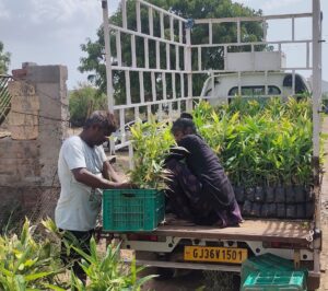 chirag sanja 4 Bamboo India