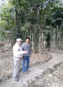 forestry ramakrishna hegde 21 Bamboo India