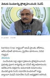 mwhd 10 Bamboo India