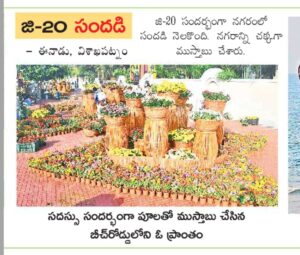 mwhd 15 Bamboo India