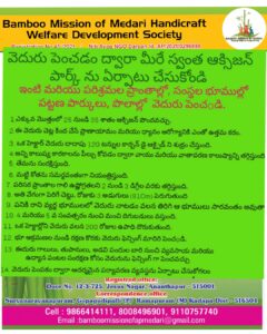 mwhd pamplet 2 Bamboo India