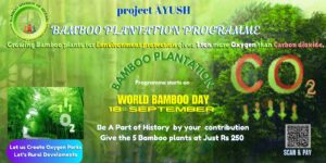 mwhd world bamboo day 2 Bamboo India