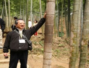 pic Martin Tam 600x460 1 Bamboo India