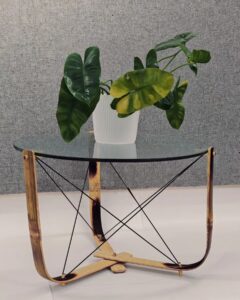 rajeev wind03 Bamboo India