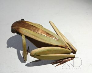 rajeev wind20 Bamboo India