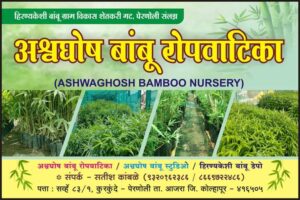 WhatsApp Image 2024 09 24 at 06.34.07 Bamboo India