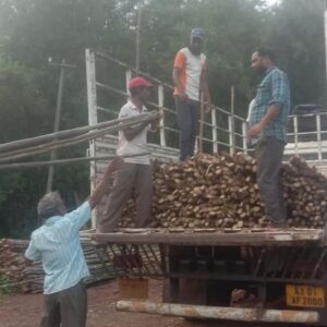 ashwaghosh bamboo 06 2 Bamboo India