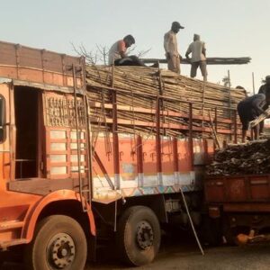 ashwaghosh bamboo 12 2 Bamboo India