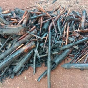 ashwaghosh bamboo 13 2 Bamboo India