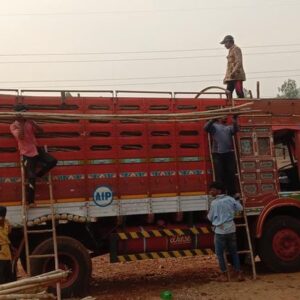 ashwaghosh bamboo 15 2 Bamboo India