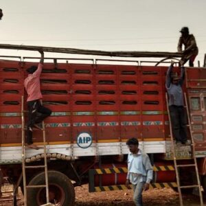 ashwaghosh bamboo 16 2 Bamboo India