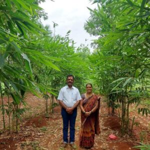 ashwaghosh bamboo 17 1 Bamboo India