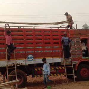 ashwaghosh bamboo 17 2 Bamboo India