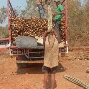 ashwaghosh bamboo 21 2 Bamboo India