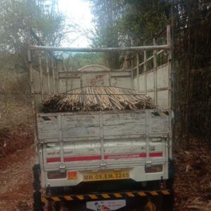 ashwaghosh bamboo 25 1 Bamboo India