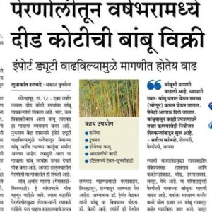 ashwaghosh bamboo 26 1 Bamboo India