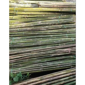 10 Feet Murli jar Bamboo Bamboo India