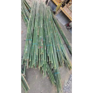 12 Feet Murli Bamboo Bamboo India