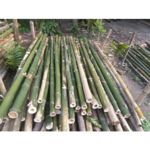 16 Feet Murli Bamboo Pole Bamboo India