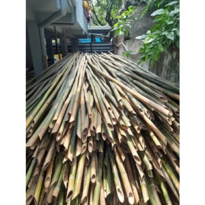 24 Feet Super Bamboo Bamboo India