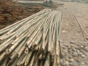 24feet bullet 1536x1152 1 Bamboo India