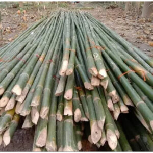 25 Feet Murli Bamboo Stick Bamboo India