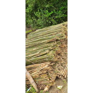 4 feet Murli Bamboo Bamboo India