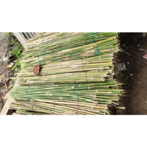 6 Feet Murli Bamboo Bamboo India