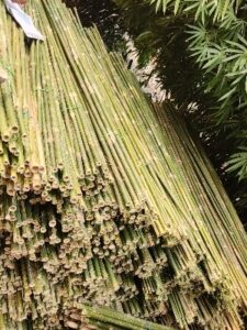 8 Feet Murli poor Bamboo Bamboo India