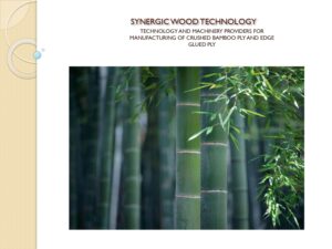 Synergic Wood Technology Bamboo Turnkey Projects 1 Bamboo India