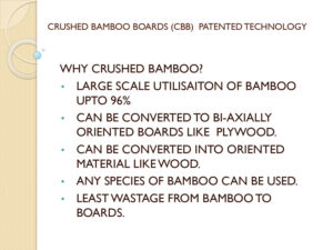 Synergic Wood Technology Bamboo Turnkey Projects 2 Bamboo India