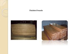 Synergic Wood Technology Bamboo Turnkey Projects 6 Bamboo India