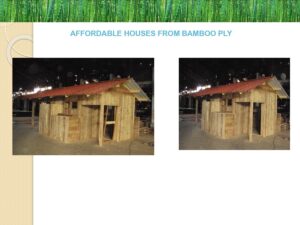 Synergic Wood Technology Bamboo Turnkey Projects 7 Bamboo India