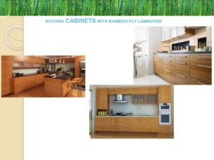 Synergic Wood Technology Bamboo Turnkey Projects 9 Bamboo India