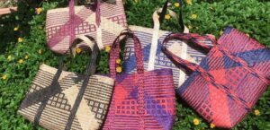 WhatsApp Image 2023 07 26 at 12.22.44 PM Bamboo India