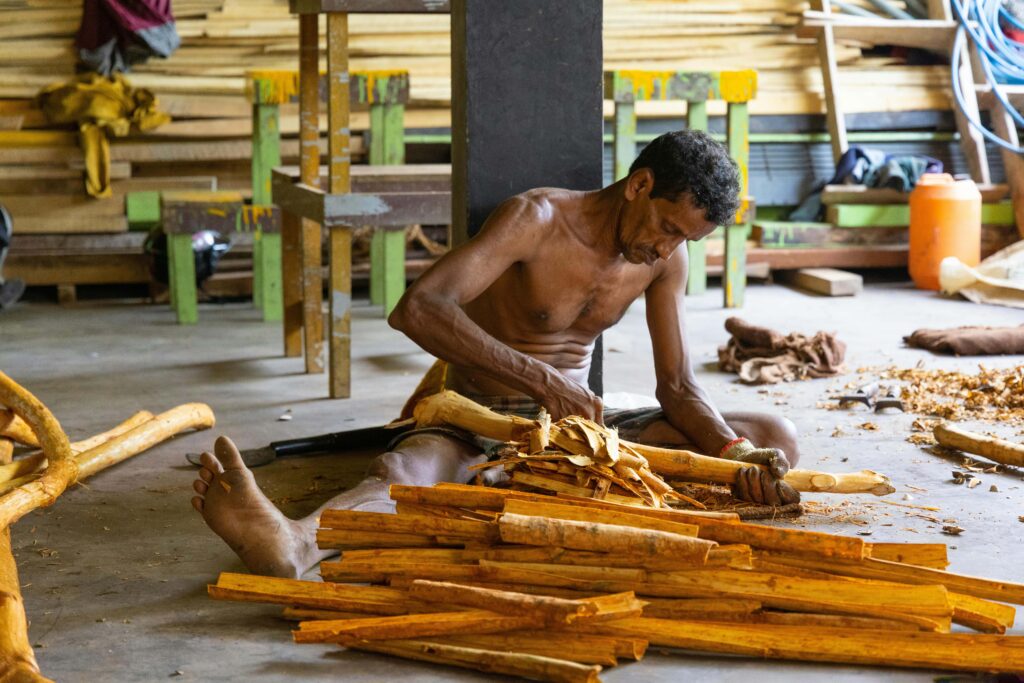 Impact of Bamboo on Local Communities 1 Bamboo India pexels mnannapaneni 15550788 min Bamboo India