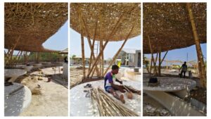 Baans India Work Portfolio 2024 160 Bamboo India