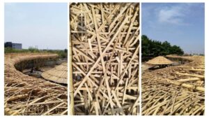 Baans India Work Portfolio 2024 161 Bamboo India