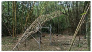 Baans India Work Portfolio 2024 269 Bamboo India