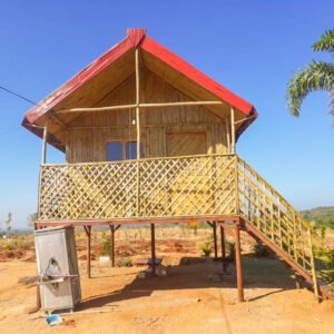 03 1 768x768 1 Bamboo India